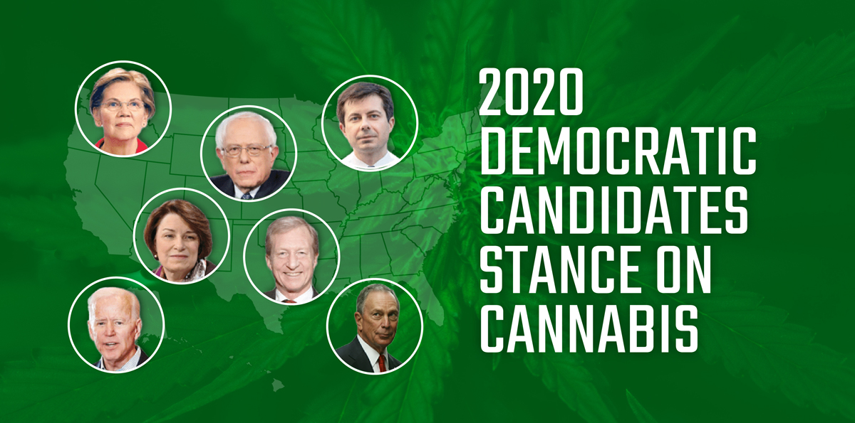 2020 Democratic Candidates Stance on Cannabis image